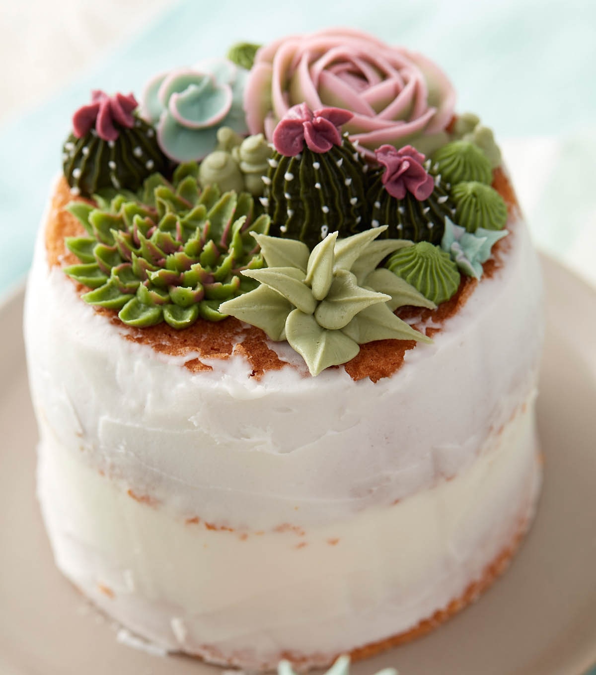 How To Make A Succulent Naked Cake Joann 0586