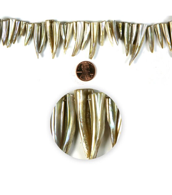 7 Ivory Shell Tooth Bead Strand by hildie & jo