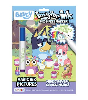 NEW 24pg Disney Frozen Imagine Ink Magic Pictures Activity Book