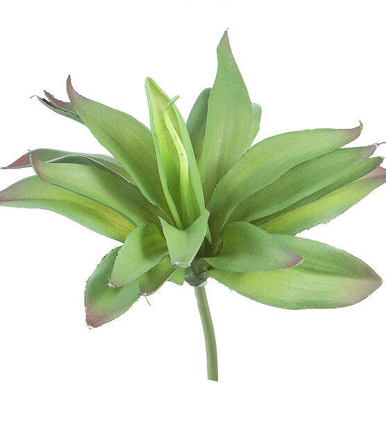 10" Agave Succulent Pick by Bloom Room, , hi-res, image 3