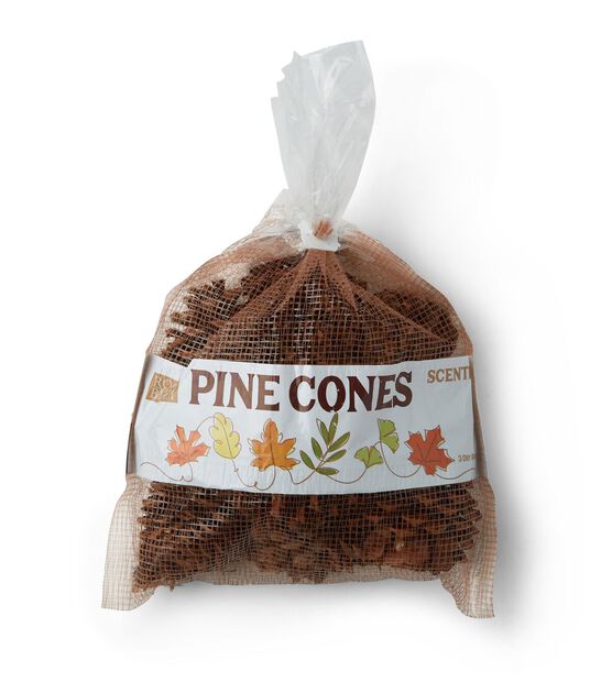 American Oak Fall Pecan Scented Pinecone Bag