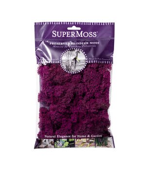 Find Reindeer Moss by Ashland® at Michaels