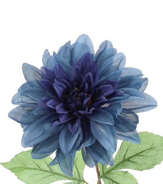 blue dahlia flower