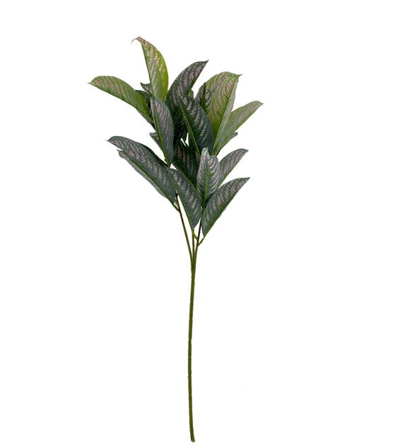 27.5" Spring Dieffenbachia Stem by Bloom Room