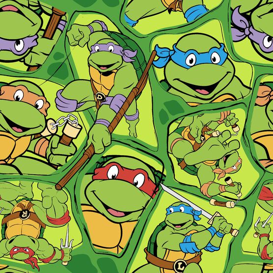 Teenage Mutant Ninja Turtles Heat Transfer Stickers on Clothes DIY