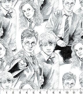 Harry Potter Notizbuch DIN A5 Face 3D Effekt : Amazon.ca: Office Products