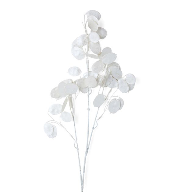 33.5" Spring White Silver Dollar Stem by Bloom Room