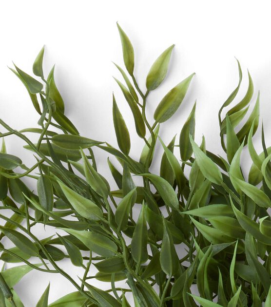 14" Spring Green Hanging Ruscus Bush by Bloom Room, , hi-res, image 2