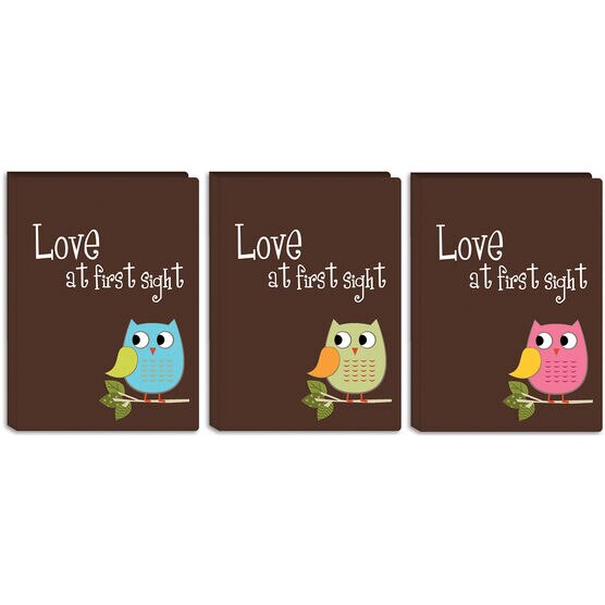 Baby Owl Brag Book Album 4"X6" 36 Pockets
