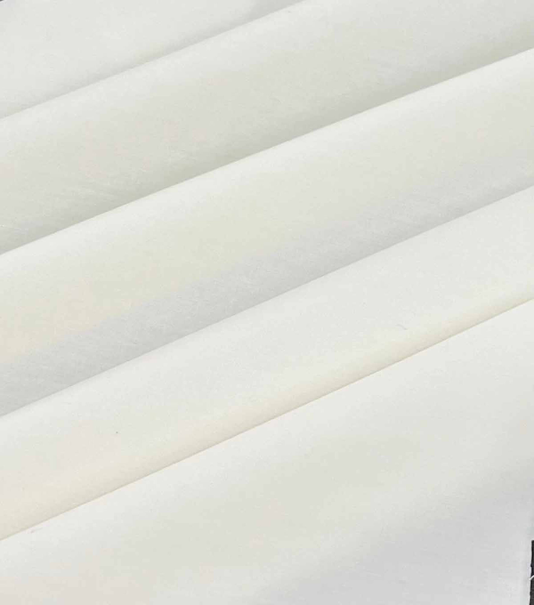 White Poly Cotton Fabric By The Yard (Broadcloth)