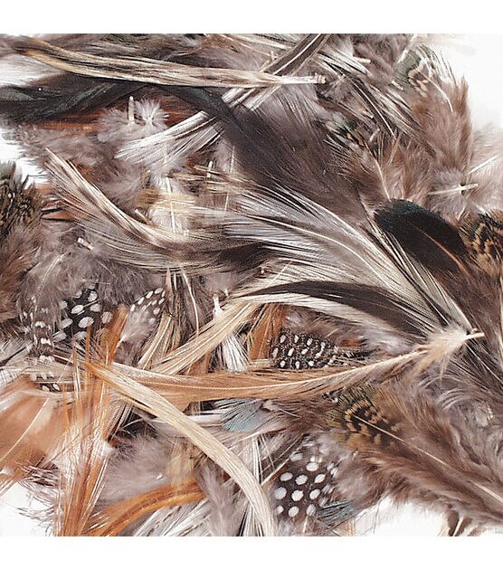 Feather Assortment Set: Types of Feathers - Feather Varieties