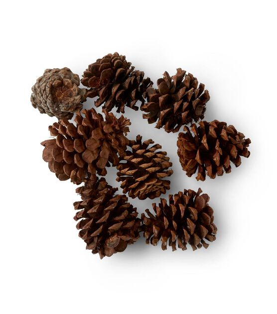 American Oak Fall Pecan Scented Pinecone Bag, , hi-res, image 3