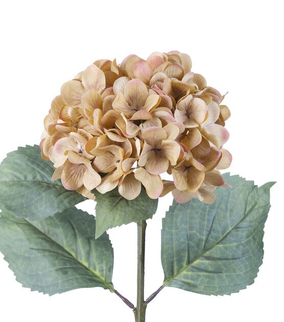 28.5" Toast Hydrangea Stem by Bloom Room, , hi-res, image 2