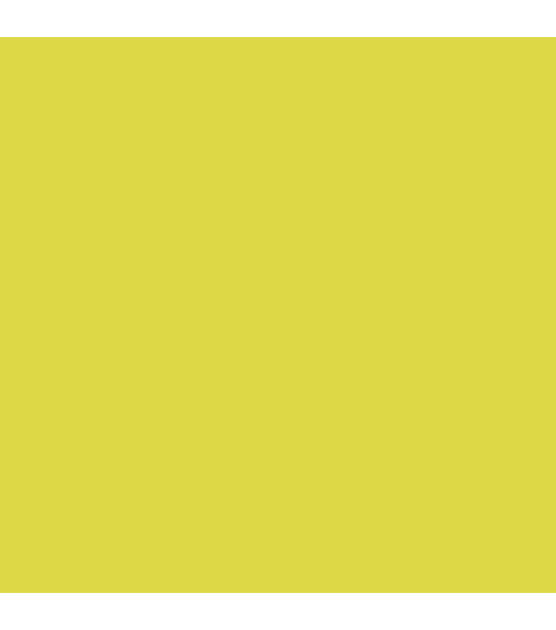 Amsterdam Standard Acrylic Paint 120ml-Primary Yellow 