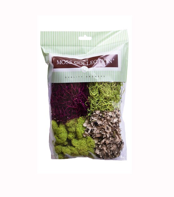 SuperMoss Forest Moss Dried 4oz