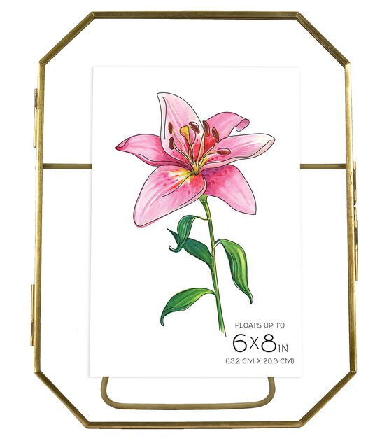 MCS 6" x 8" Brass Octagonal Pressed Glass Floating Frame