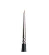 Winsor & Newton Series 7 Miniature Painting Brush, 0 