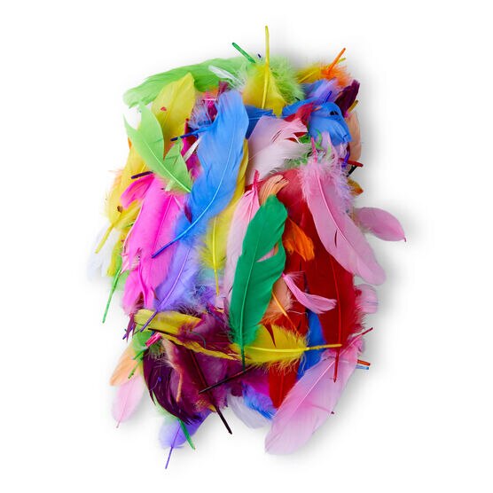 POP! Turkey Plumage Carnival Mix Feathers 0.5oz