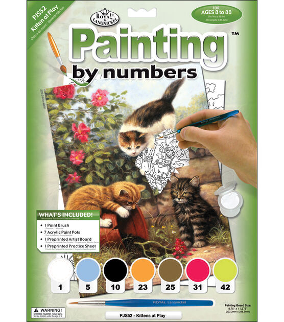 Labeol 4 Paint by Numbers for Kids Ages 8-12 DIY Paint Set for