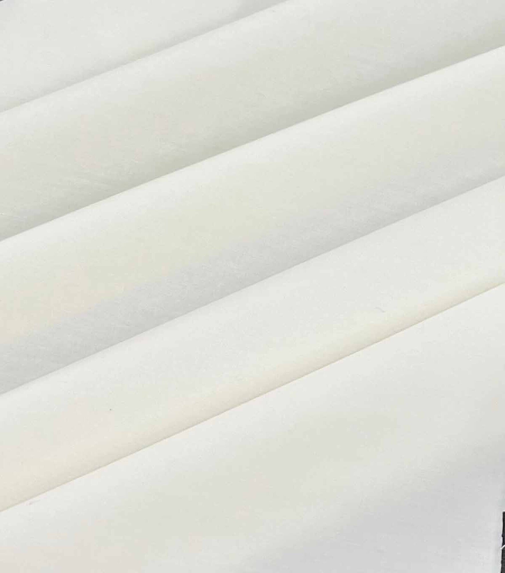 Symphony Broadcloth Fabric in Solid Colors