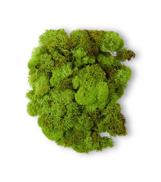 Quality Growers 100" Light Green Reindeer Moss, , hi-res, image 2