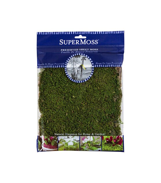 SuperMoss Fairy Garden Kit