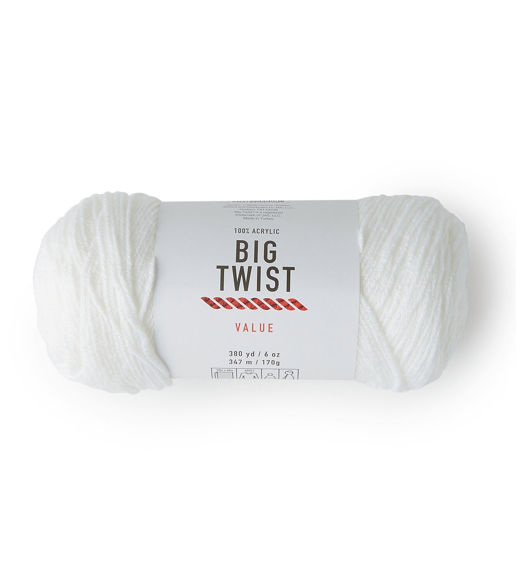 Value 380yd Worsted Acrylic Yarn by Big Twist, White, hi-res