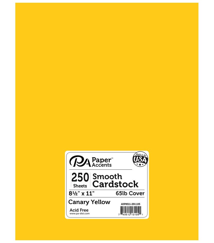 PA Paper™ Accents 12 x 12 Smooth Cardstock Paper, 25 Sheets