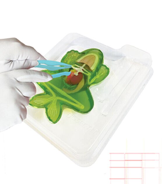 Dissect It 6ct Frog Lab Science Kit, , hi-res, image 2