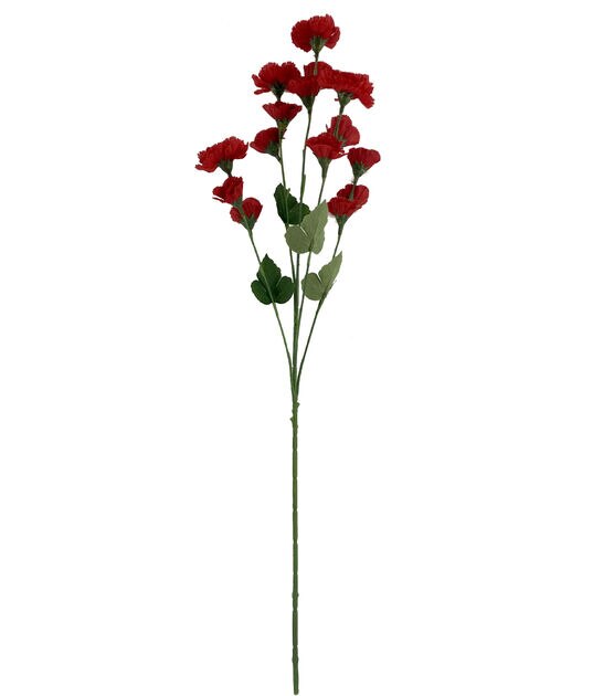 26" Spring Red Carnation Stem by Bloom Room