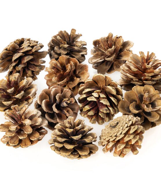  JOHOUSE 3.5-5Inch Natural Pine Cones, Big Pinecones