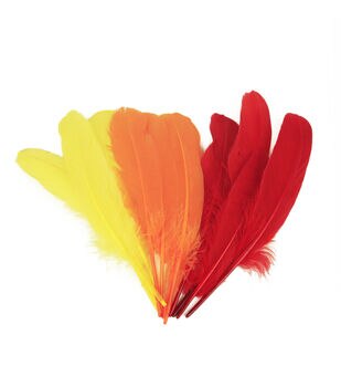 Pop! Domestic Goose Natural Feathers 0.21oz - Kids Craft Basics - Kids