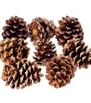 Rustic Pinecone - Small – Harmony On West