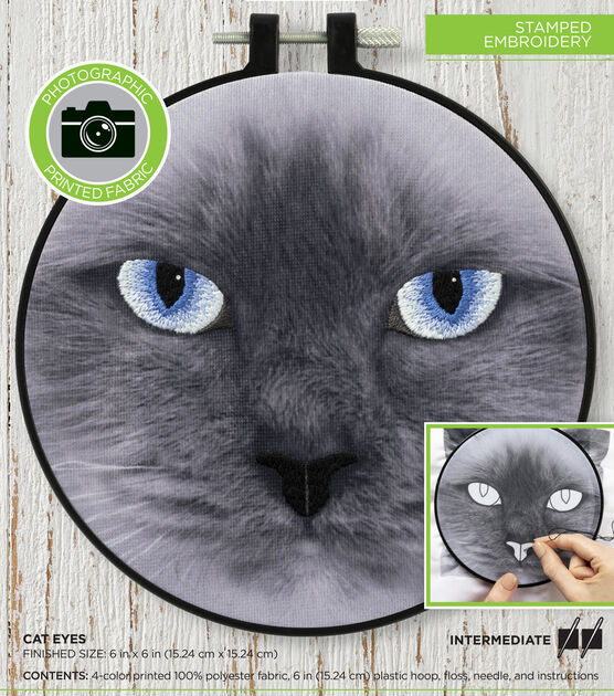 Cat PFP | Photographic Print