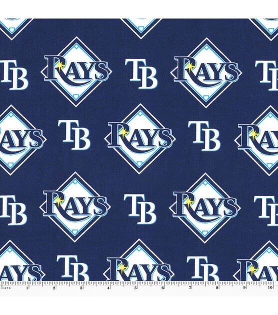 Tampa-bay-rays Sport Embroidered Iron on Patch. 