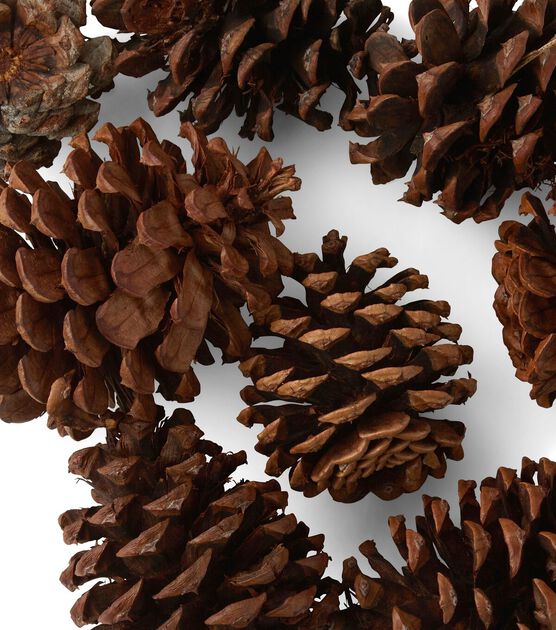 American Oak Fall Pecan Scented Pinecone Bag, , hi-res, image 4