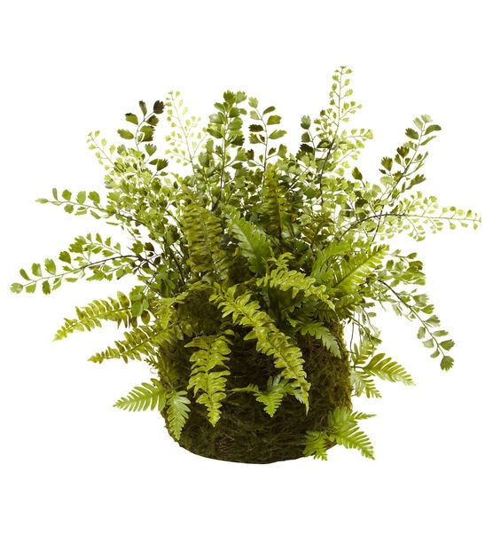 Nearly Natural Mixed Fern with Twig & Moss Basket
