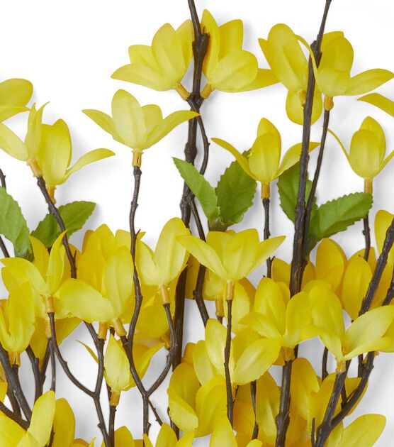 24" Spring Yellow Forsythia Bush by Bloom Room, , hi-res, image 2
