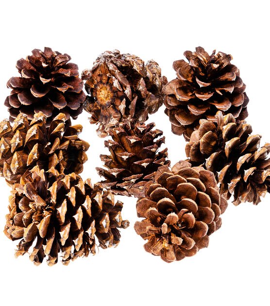 Scented Pinecones-Small(6-8)