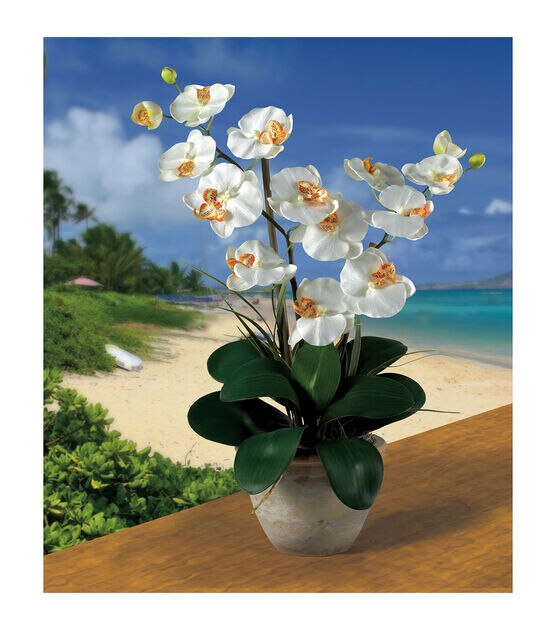 Nearly Natural White Double Phalaenopsis Silk Orchid Flower, , hi-res, image 2