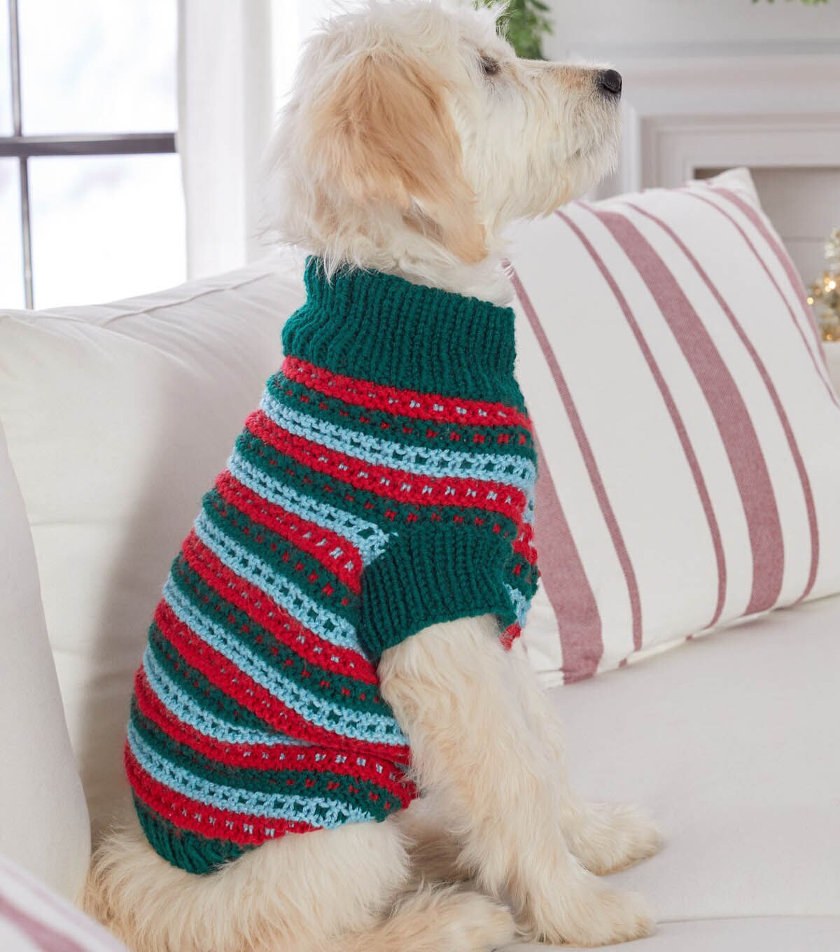 How To Make Stylish Knit Dog Sweater Online | JOANN