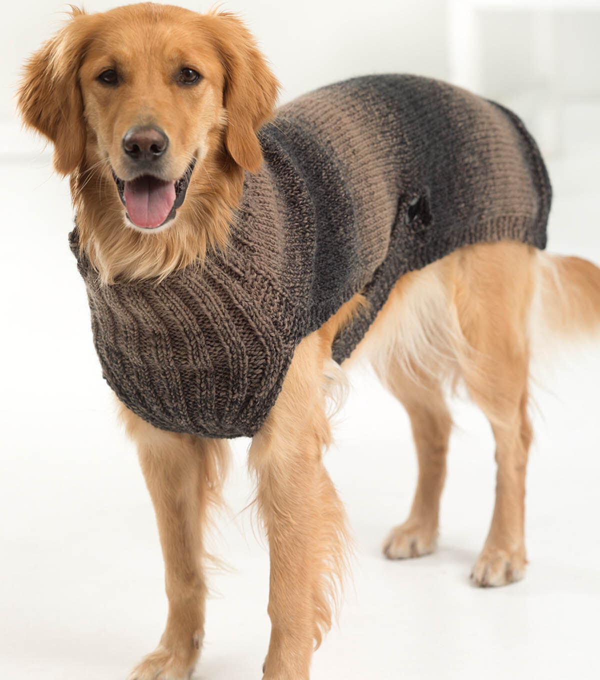 lion brand dog sweater