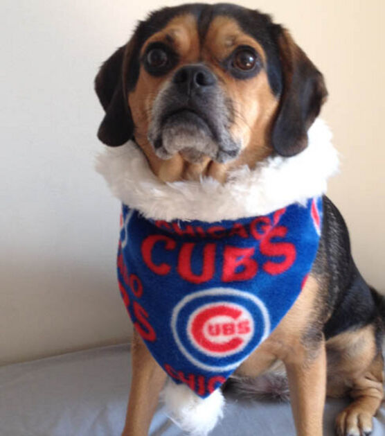 Chicago Cubs dog jersey/bandana  Dog jersey, Handmade pet, Pet