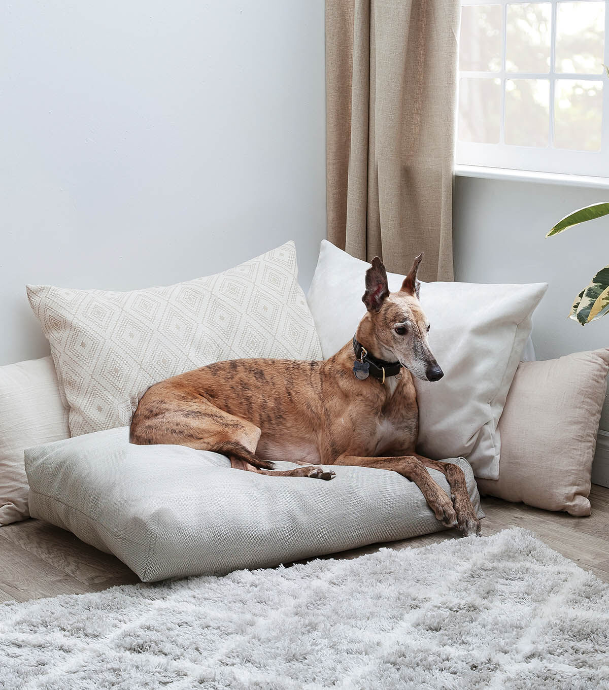 dog bed floor cushion