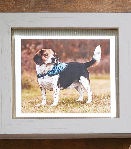 Dog Bandana