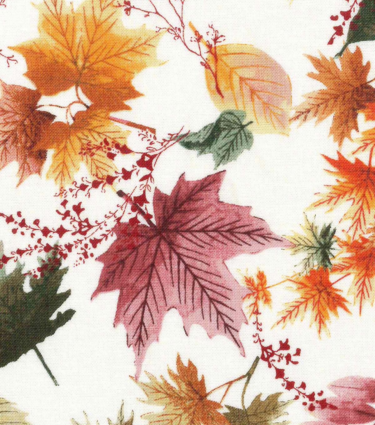 Harvest Cotton FabricAutumn Leaves on Cream JOANN