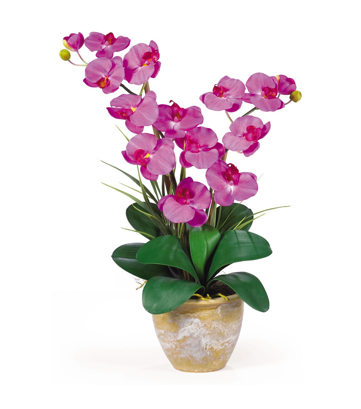 Nearly Natural Double Phalaenopsis Silk Orchid Flower Joann 5674