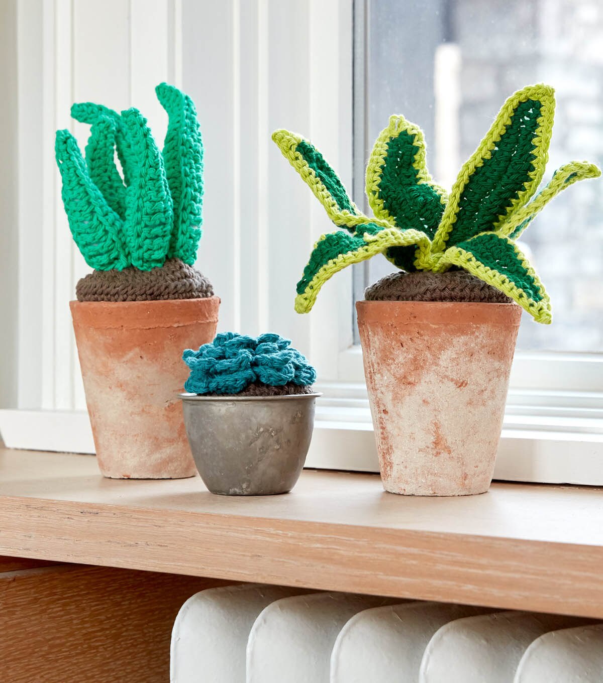 How To Make A Lily Sugar’N Cream Crochet Succulents JOANN