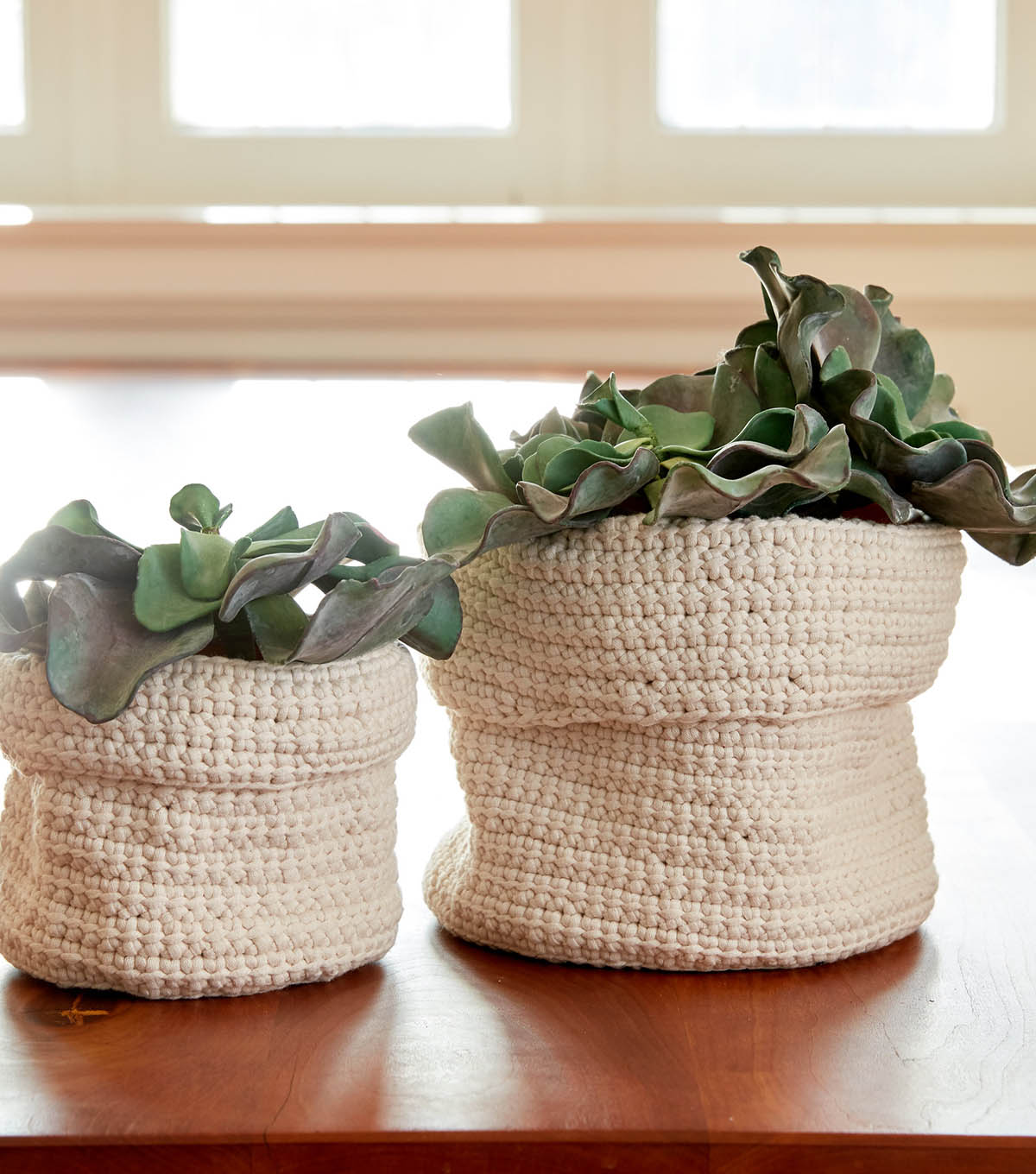 How To Make A Bernat Slouchy Crochet Plant Holder JOANN