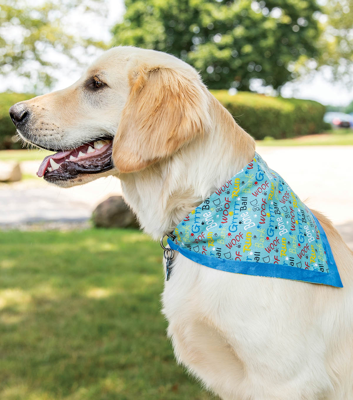 hanukkah dog bandana